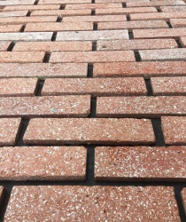 Gạch thẻ cổ (gạch cắt ) kt 230x65x13mm